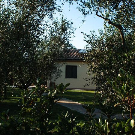 Agriturismo Dallolivo Болгери Экстерьер фото